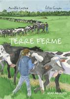 Terre ferme