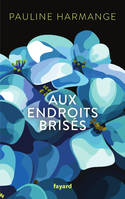 Aux endroits brisés, Roman