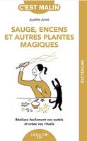 Sauge, encens et autres plantes magiques, c'est malin