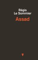 Non Fiction (La Martinière) Assad