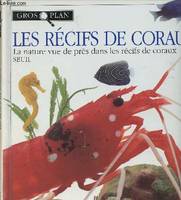 Les récifs de coraux - 