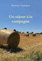 Un séjour à la campagne, Roman