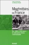 Maghrébins de France : De 1960 à nos jours : la naissance d'une communauté, de 1960 à nos jours, la naissance d'une communauté