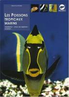 Poissons tropicaux marins