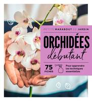 Orchidées débutant