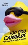 100 000 canard par un doux soir d'orage