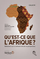 Qu'est ce que l'Afrique? REflexions sur le continent africain et perspectives.