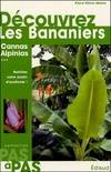 Découvrez les bananiers - et Alpinia, Canna, Curcuma, Etlingera, Hedychium, Heliconia, Ravenala, Strelitzia, Thalia, Zingiber, et Alpinia, Canna, Curcuma, Etlingera, Hedychium, Heliconia, Ravenala, Strelitzia, Thalia, Zingiber