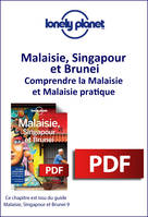 Malaisie, Singapour et Brunei - Comprendre la Malaisie et Malaisie pratique