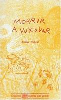 MOURIR A VUKOVAR, petit carnet de Bosnie