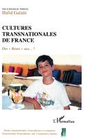 Cultures transnationales de France, Des Beurs aux...?