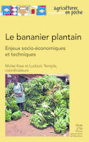 LE BANANIER PLANTAIN - ENJEUX SOCIO-ECONOMIQUES ET TECHNIQUES, Enjeux socio-économiques et techniques