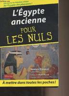 L'Egypte ancienne pour les nuls