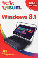 Poche Visuel Windows 8.1, Maxi Volume