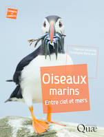 Oiseaux marins, Entre ciel et mers