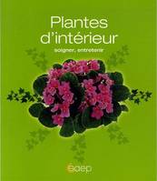 Plantes d'intérieur soigner, entretenir, soigner, entretenir