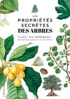 Les propriétés secrètes des arbres