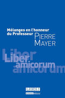 mélanges en l'honneur du professeur pierre mayer