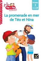 Téo et Nina fin de CP niveau 3 - La promenade en mer de Téo et Nina