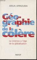 Géographie de la colère, La violence à l'âge de la globalisation