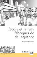 L'école et la rue : fabriques de délinquance, Recherches comparatives en France et au Brésil. Préface de Georges Felouzis, postface de Bernard Charlot