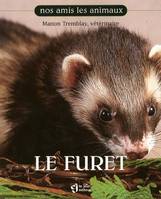 FURET