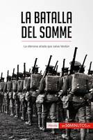 La batalla del Somme, La ofensiva aliada que salva Verdún