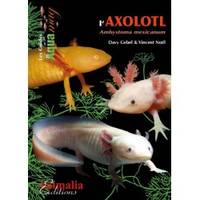 L'axolotl - ambystoma mexicanum