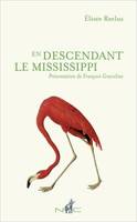 En descendant le Mississippi