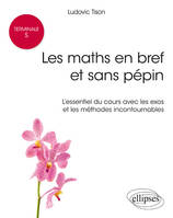 Terminale S : les maths en bref et sans pépin - L'essentiel du cours avec les exos et les méthodes incontournables