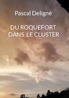 Du roquefort dans le cluster, Roman