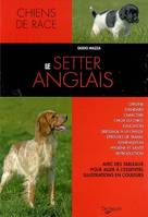 SETTER ANGLAIS (LE)