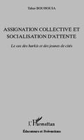 Assignation collective et socialisation d'attente, Le cas des harkis et des jeunes de cités