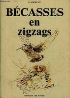 BECASSES EN ZIGZAGS.