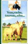 Veau, vache, taureau, zébu