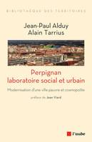 Perpignan, laboratoire social et urbain, Modernisation d'une ville pauvre et cosmopolite