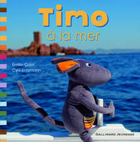 Timo à la mer