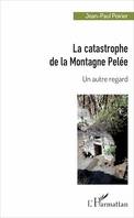 La catastrophe de la Montagne Pelée, Un autre regard