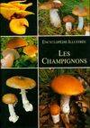 Les champignons