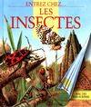 Entrez chez les insectes