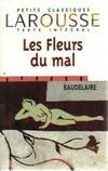 Les Fleurs du mal, poésie