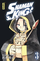 3, Shaman King