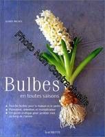 Bulbes en toutes saisons