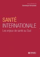 Santé internationale, Les enjeux de santé au Sud