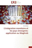 L'intégration monétaire et les pays émergents: application au Maghreb