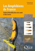 Les Amphibiens de France, Guide d'identification des œufs et des larves