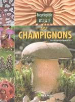 ENCYCLOPEDIE  VISUELLE DES CHAMPIGNONS