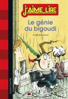 J AIME LIRE N270 LE GENIE DU BIGOUDI