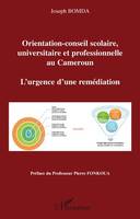 Orientation-conseil scolaire, universitaire et professionnelle au Cameroun, L'urgence d'une remédiation