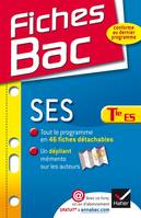 Fiches Bac SES Tle ES, Fiches de cours - Terminale ES